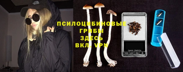 Альфа ПВП Алексин